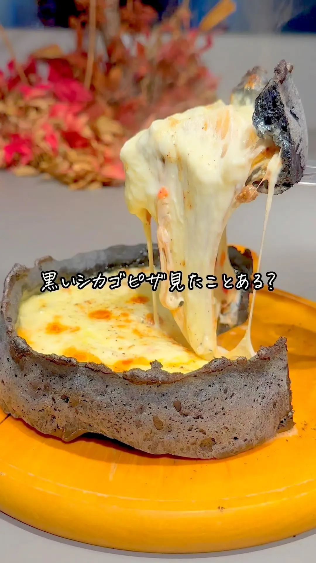 どこで何を撮っても映えるのに美味しい🤤